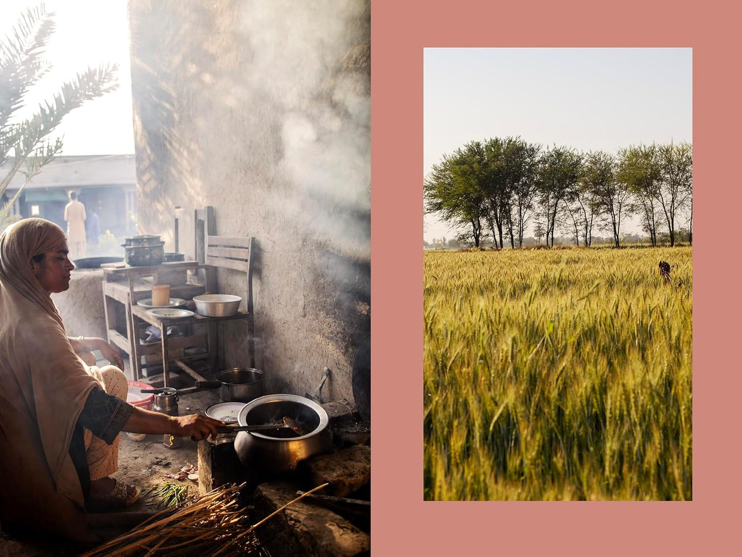 Pakistan: Recipes and Stories from Home Kitchens, Restaurants, and Roadside Stands