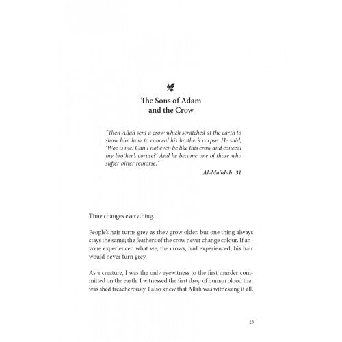Our Story: Animals In The Quran