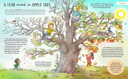 Illustration of an apple tree with children around it, depicting the life cycle of an apple tree.