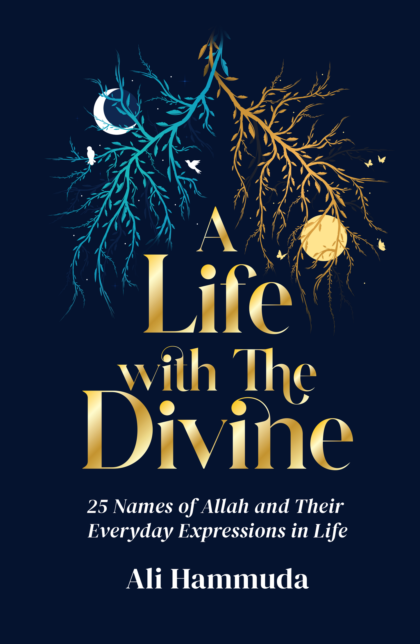 A Life with the Divine - Ali Hammuda