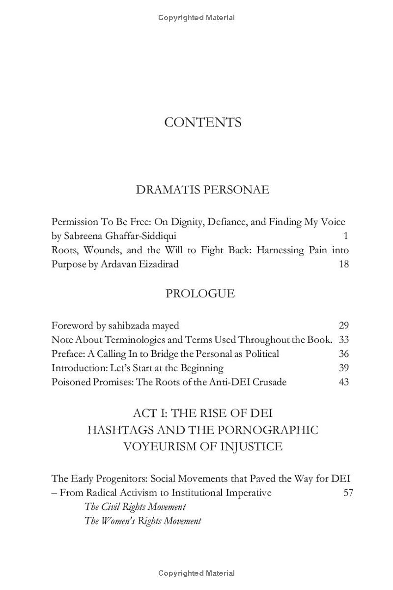 DEI Undone: The Rise, Fall, and Rebirth of Diversity, Equity, and Inclusion