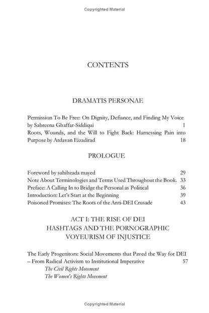DEI Undone: The Rise, Fall, and Rebirth of Diversity, Equity, and Inclusion