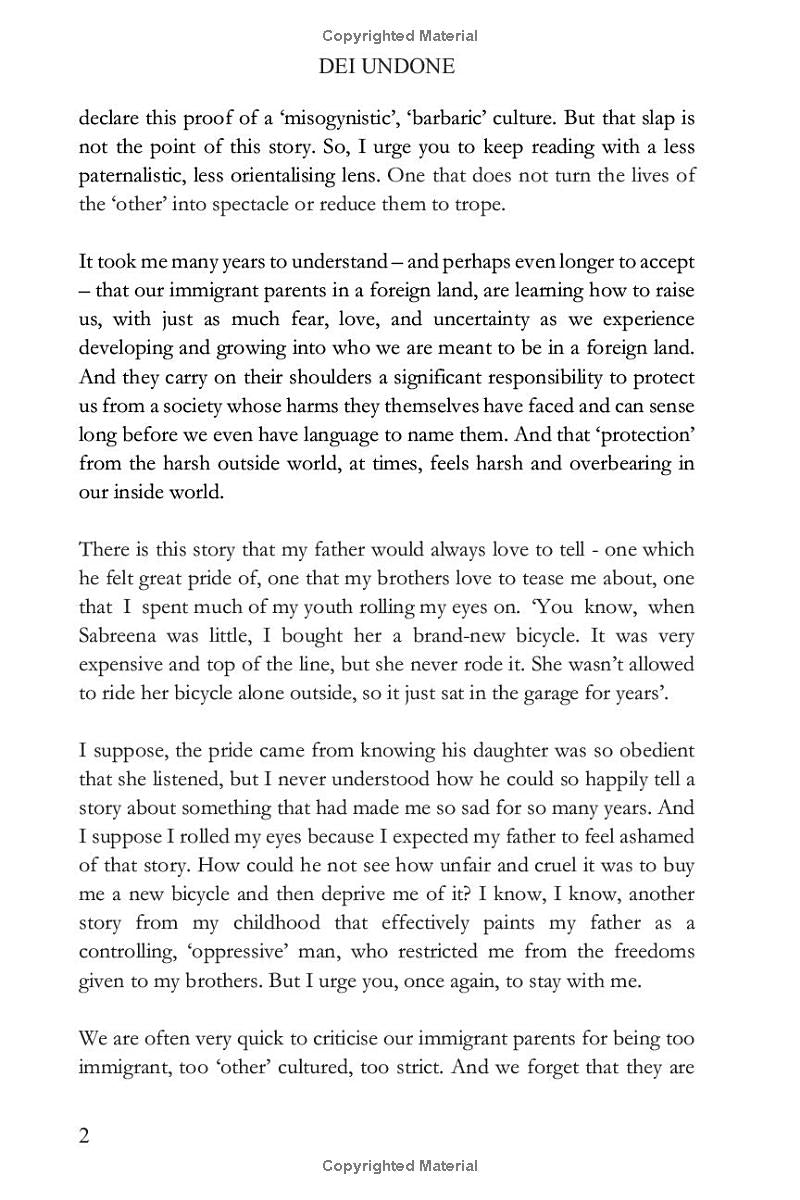 DEI Undone: The Rise, Fall, and Rebirth of Diversity, Equity, and Inclusion
