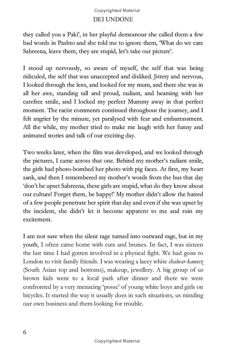 DEI Undone: The Rise, Fall, and Rebirth of Diversity, Equity, and Inclusion
